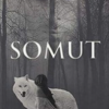 Melek Kaş «Somut»