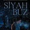 Becca Fitzpatrick «Siyah Buz»