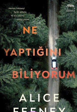 Alice Feeney «Ne Yaptığını Biliyorum» pdf indir 