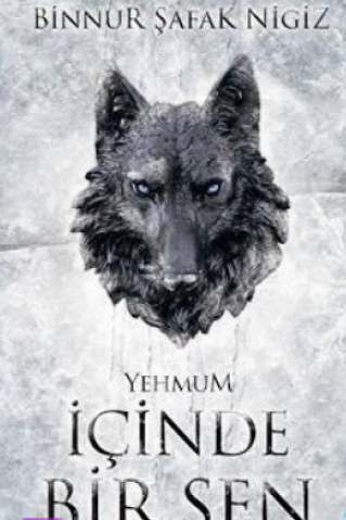 Binnur Nigiz «İçinde Bir Sen - Yehmum»  pdf indir 