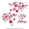 Karen Kingsbury «Kalp Atışı»