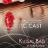P. C. Cast «Kutsal Bağ 3»