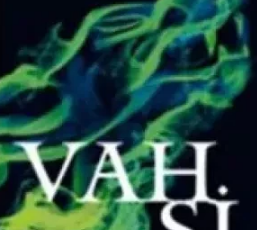 Sally Green «Vahşi, Half Bad Serisi 2»