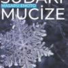 Masaru Emoto «Sudaki Mucize»