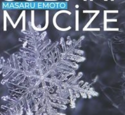 Masaru Emoto «Sudaki Mucize»