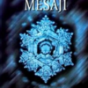Masaru Emoto «Suyun Gizli Mesajı»