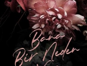 A. L. Jackson «Bana Bir Neden Ver»