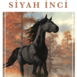 Anna Sewell «Siyah İnci»