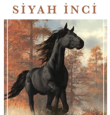 Anna Sewell «Siyah İnci»