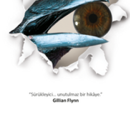 Chevy Stevens «Kapan»